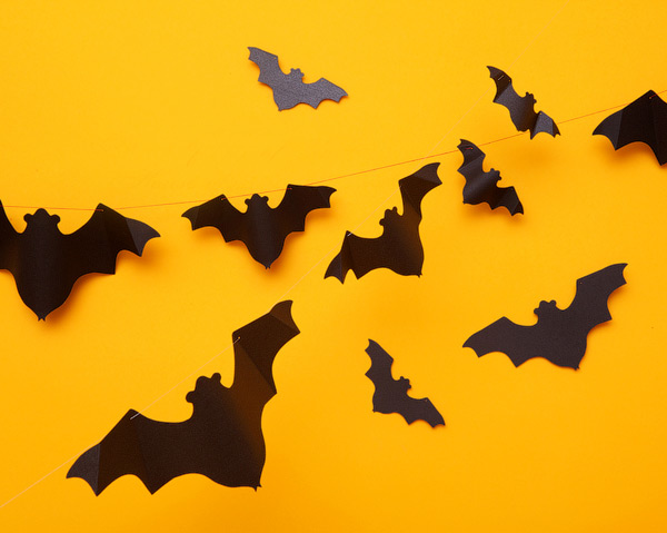 Bats Halloween