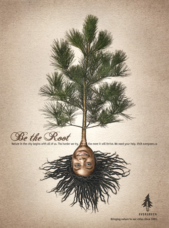 be the root stupid poster