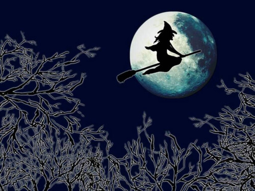 halloween witch wallpaper