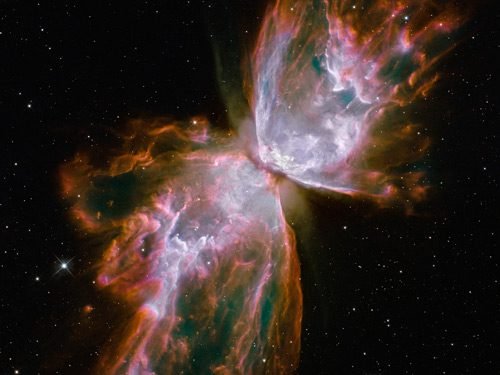 Butterfly Nebula