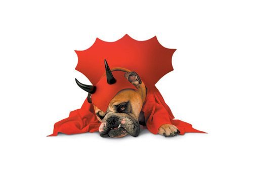 Devil Dog Halloween Costume