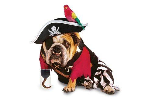 Pirate Dog Halloween Costume