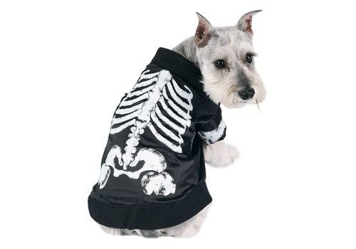 Dog Halloween Costume
