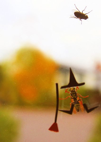 Halloween Bee witched