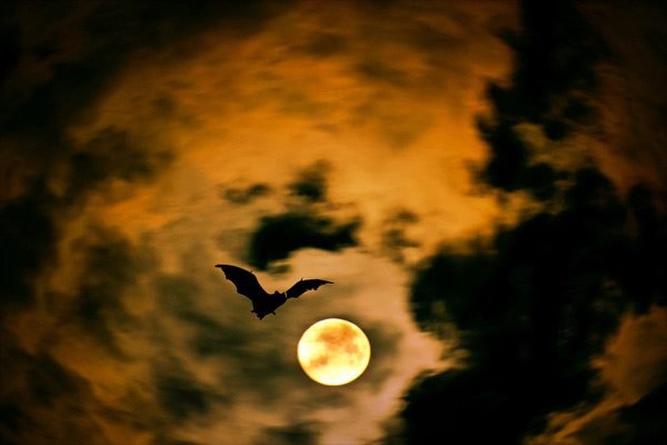 Halloween Moon Landing