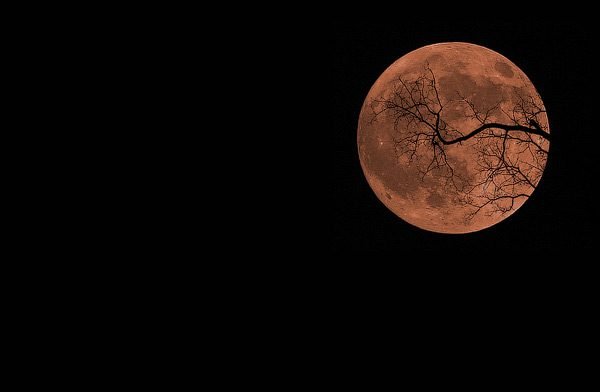 Halloween Moon