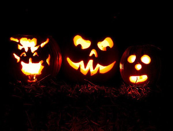 Halloween Pumpkin Trio