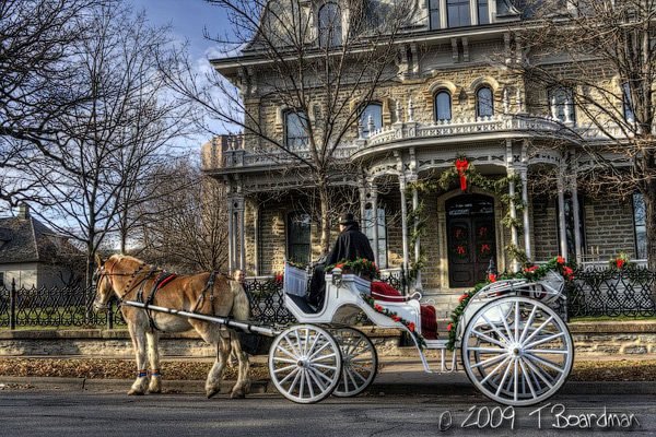 Xmas Horse and buggy