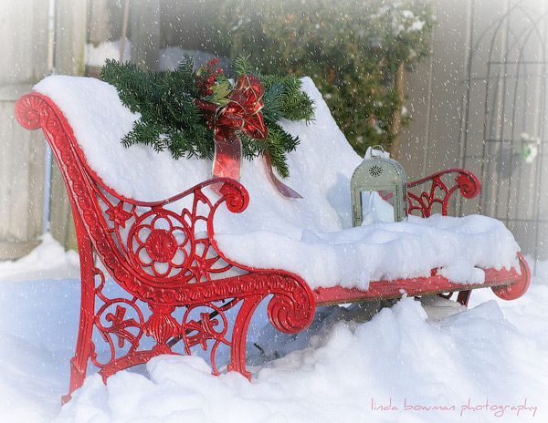 Red bench