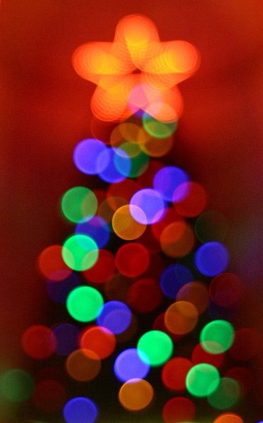 Tannenbaum bokeh