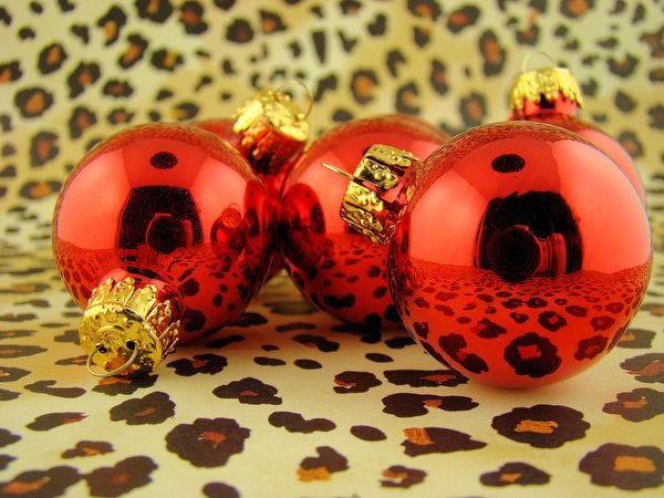 Wild about Christmas