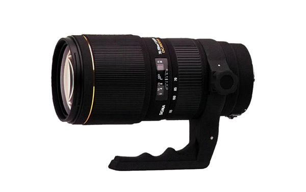 sigma lenses