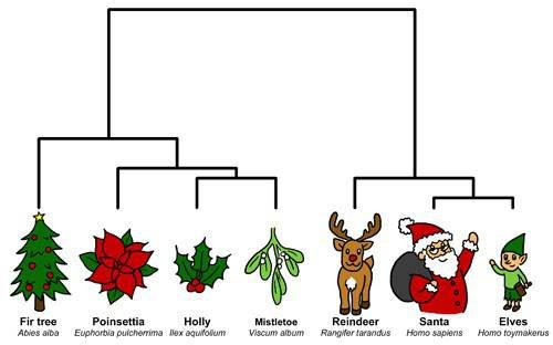 Evolution Tree Christmas Card