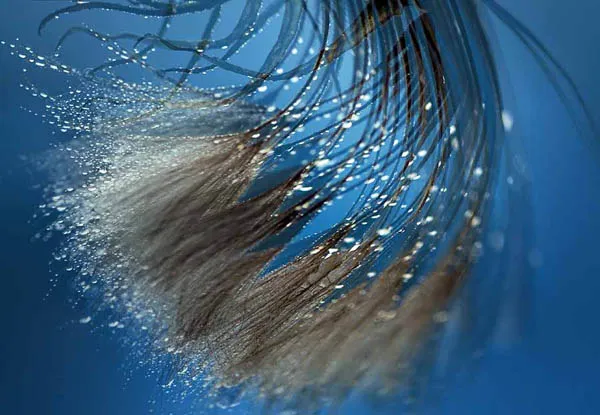 abstract perspective