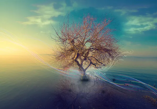Golden Dream 3D Wallpaper