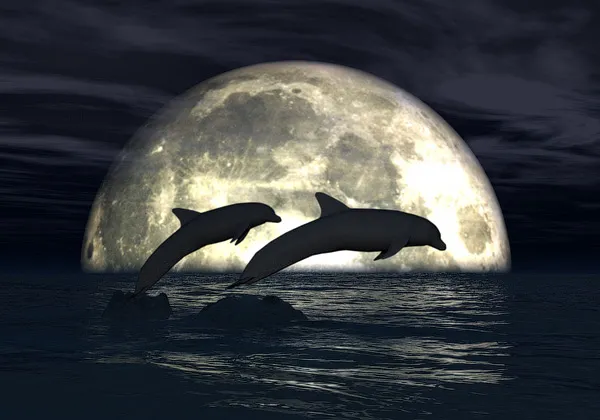 Moonlight Dolphins 3D Wallpaper