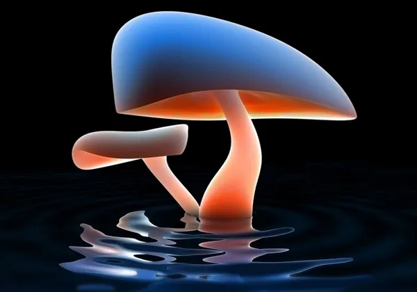 Mushroom Lake 3D Wallpaper