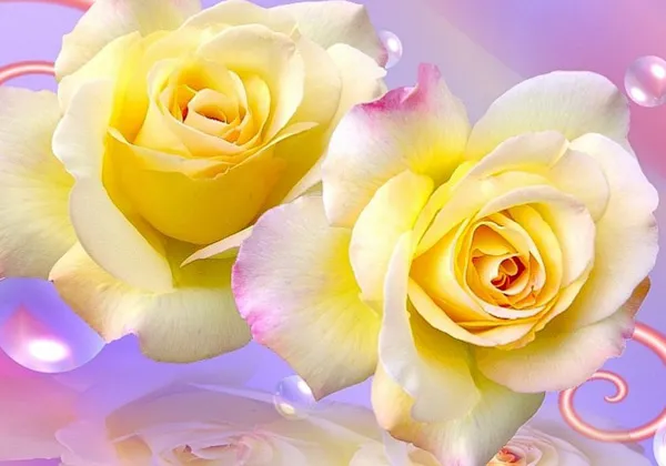 Rose 3D Wallpaper