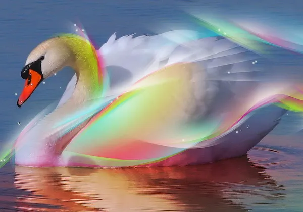 Swan 3D Wallpaper